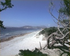 Ambiente unico di grande sugestione